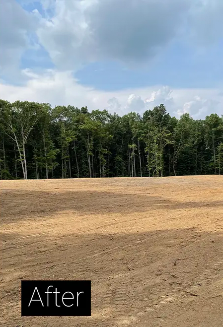 After land clearing